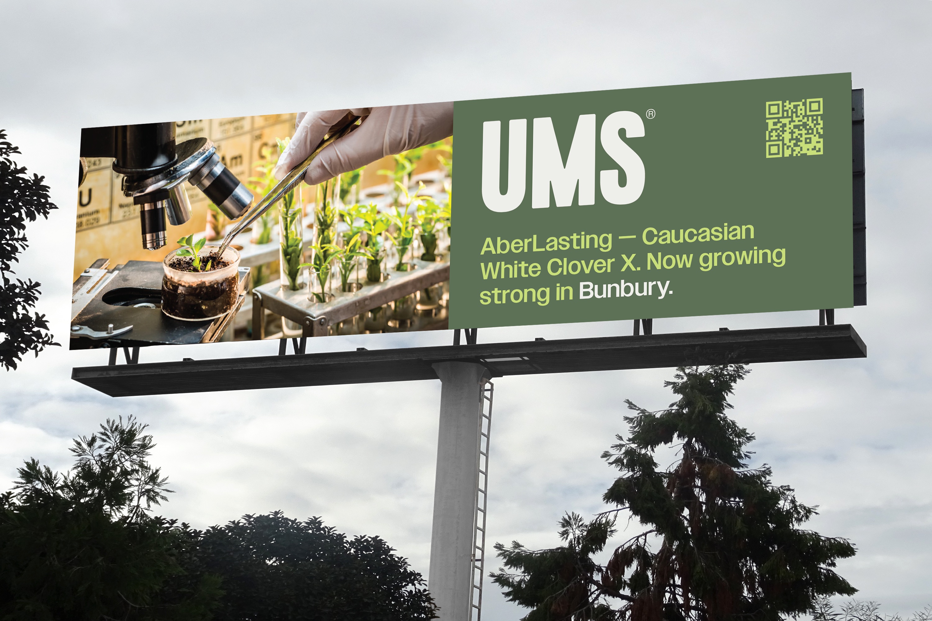 UMS white clover research billboard