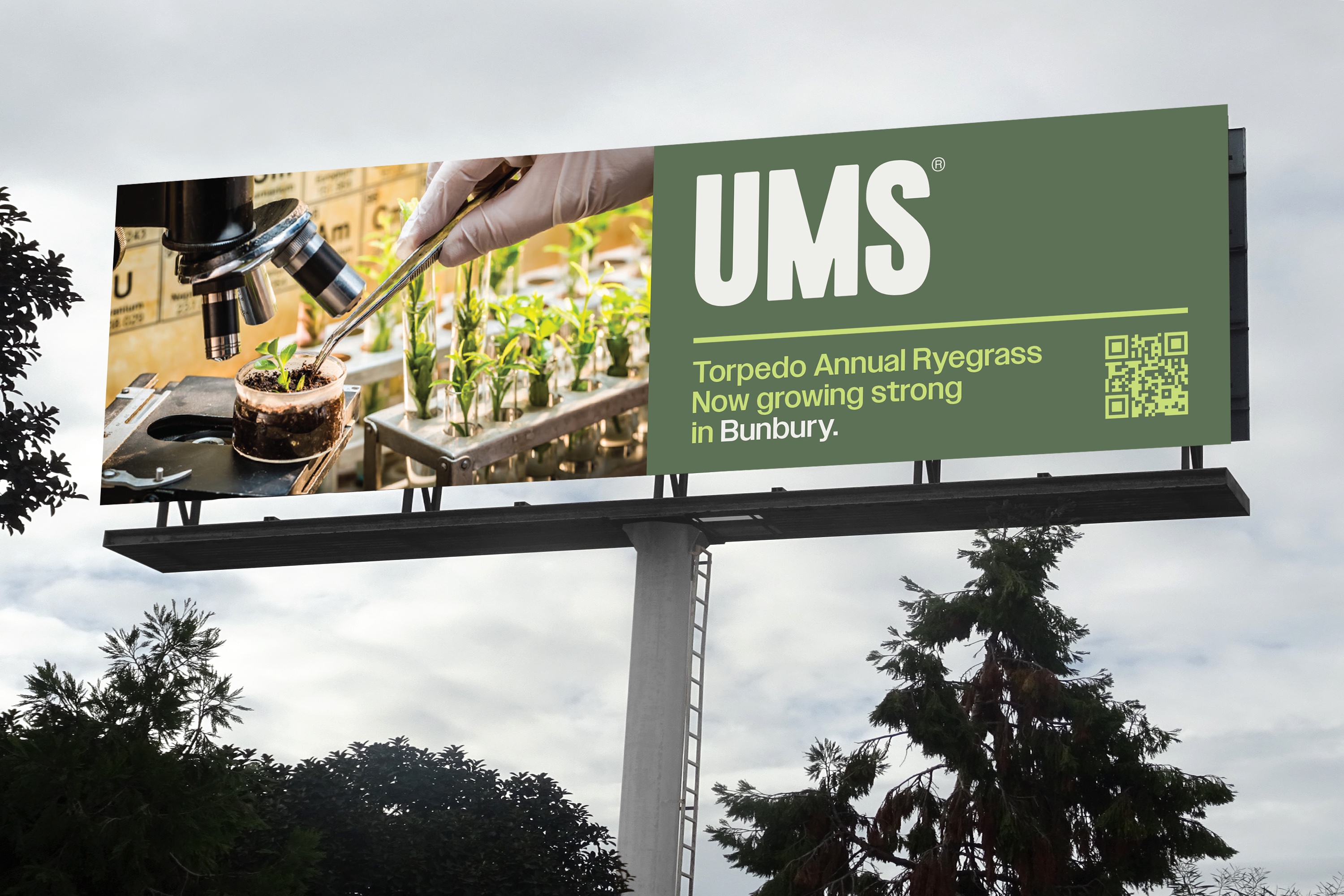 UMS annual ryegrass research billboard